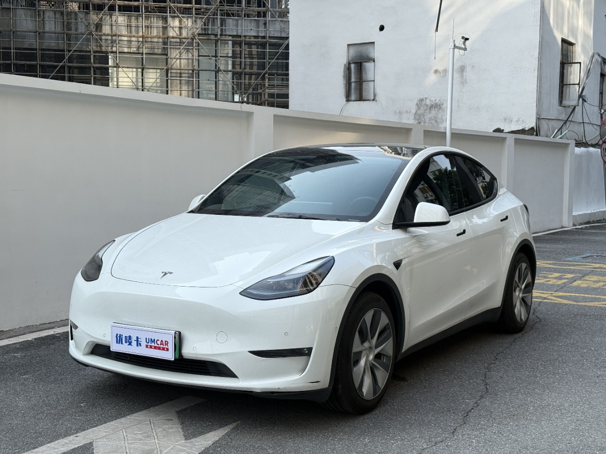 Tesla Model Y 2021 car image 