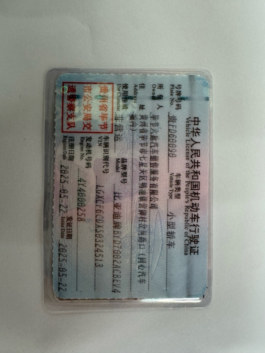 BYD HanL 2025 car image #12