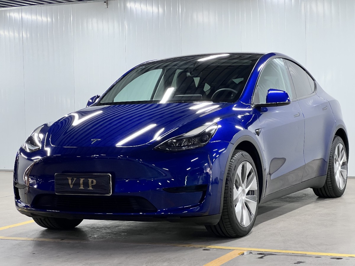 Tesla Model Y 2022 car image 