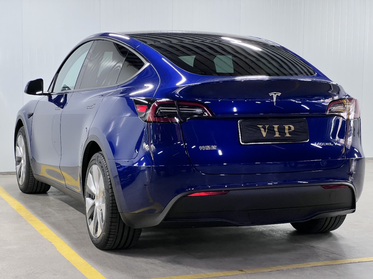 Tesla Model Y 2022 car image #6