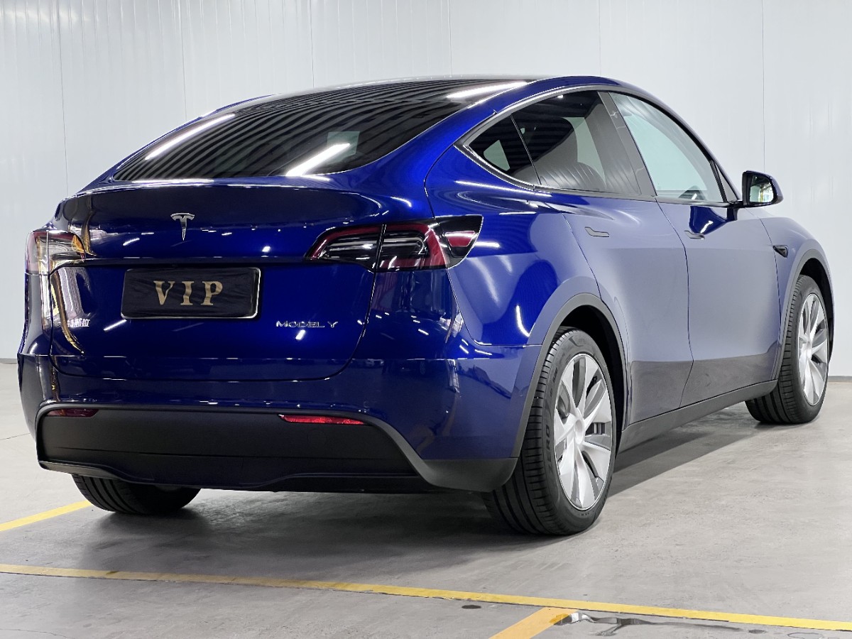 Tesla Model Y 2022 car image #4