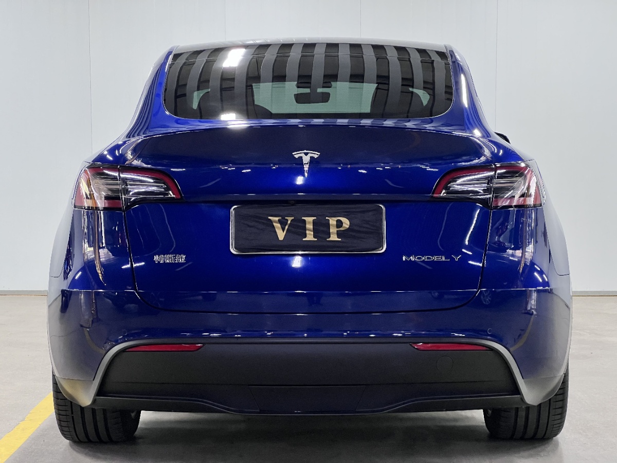Tesla Model Y 2022 car image #5