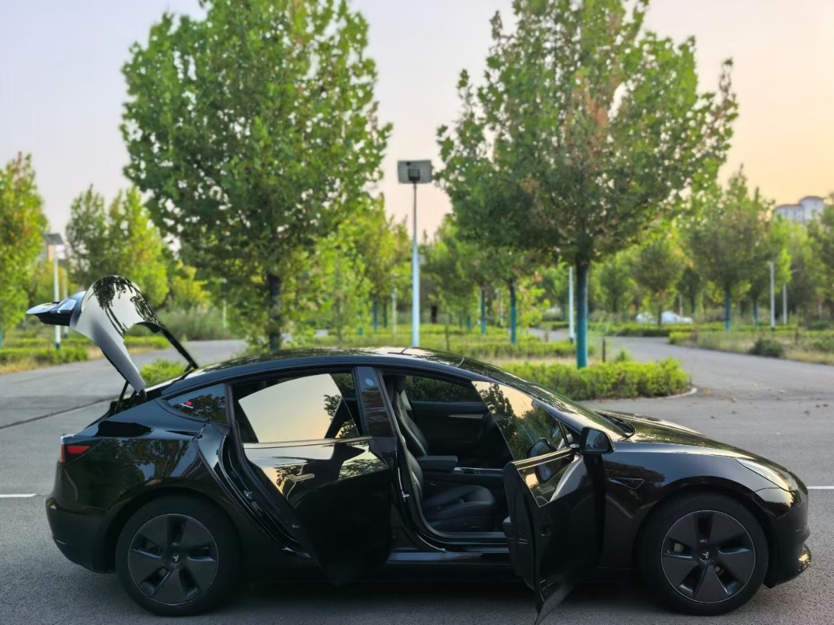 特斯拉 Model 3 2022 汽车图片 #5