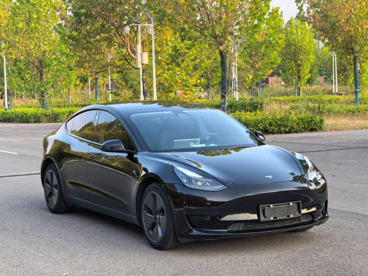 特斯拉 Model 3 2022 汽车图片 #2