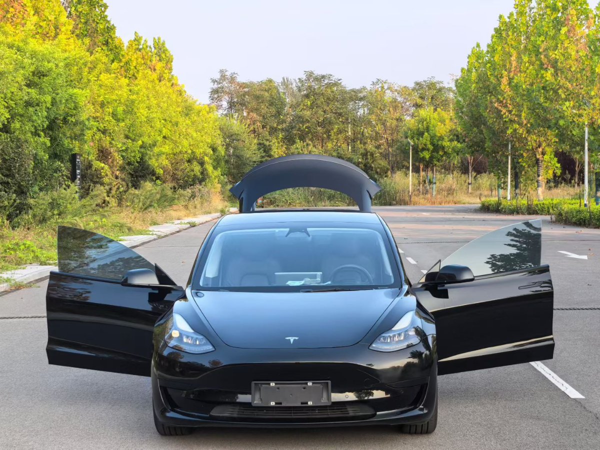 特斯拉 Model 3 2022 汽车图片 #3