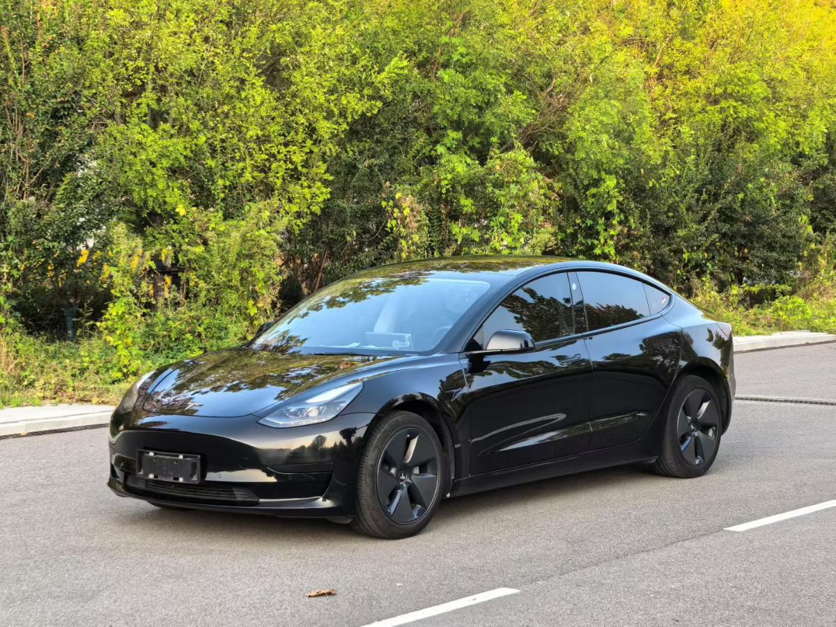 特斯拉 Model 3 2022 汽车图片 