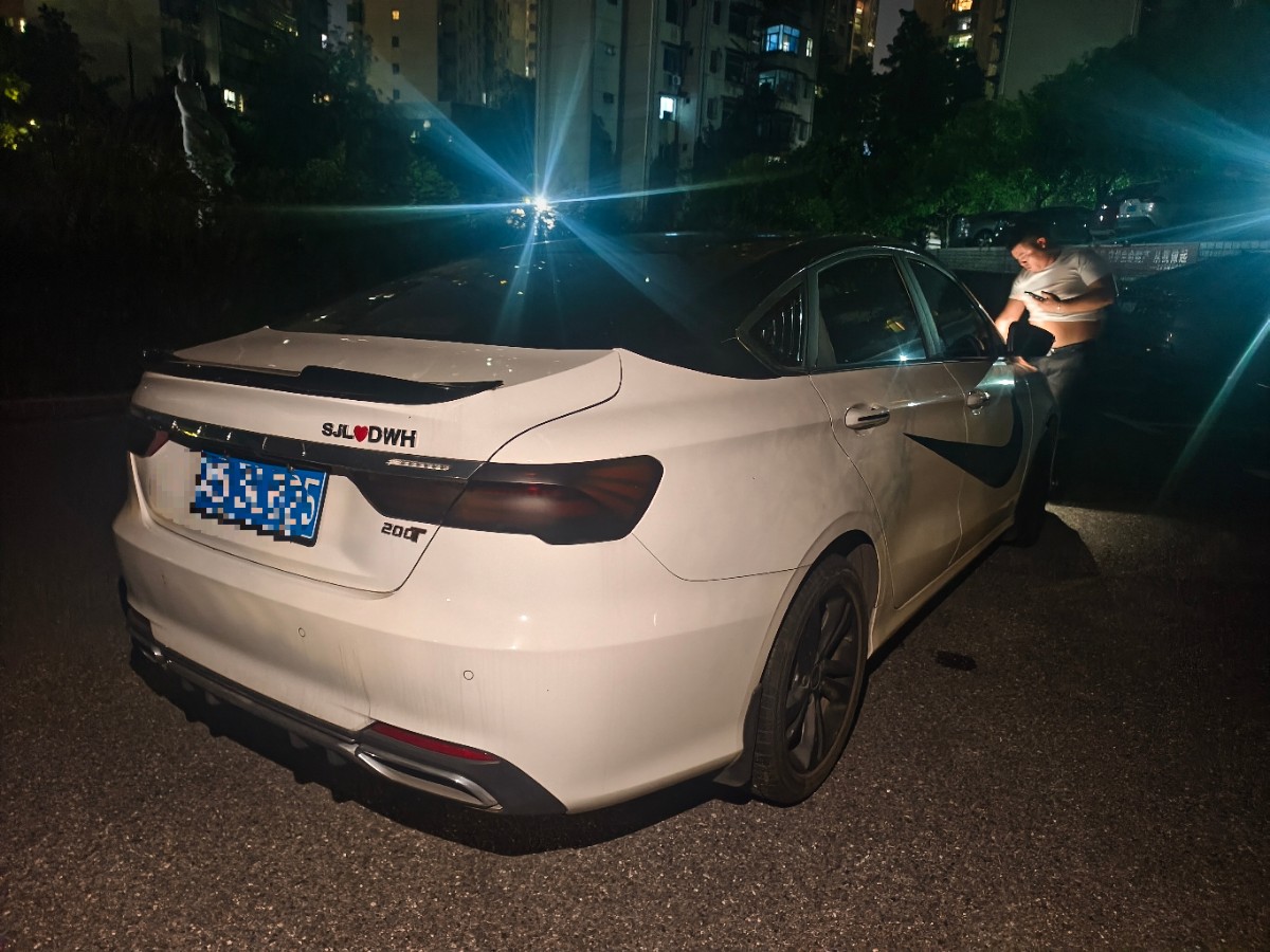 GEELY Binray 2020 immagine di auto #9