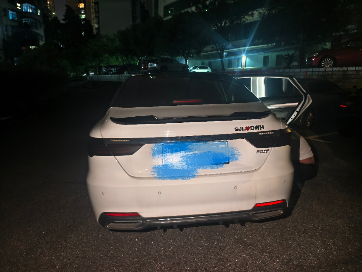 GEELY Binray 2020 immagine di auto #8
