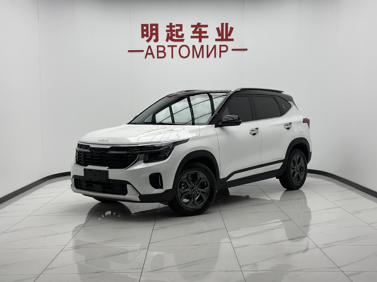 Kia Seltos 2024 car image 