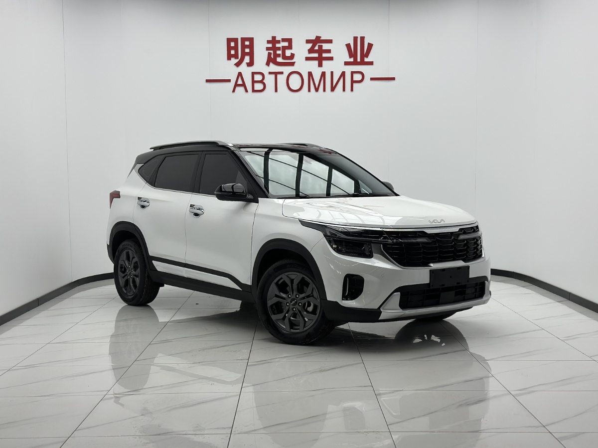 Kia Seltos 2024 car image #2