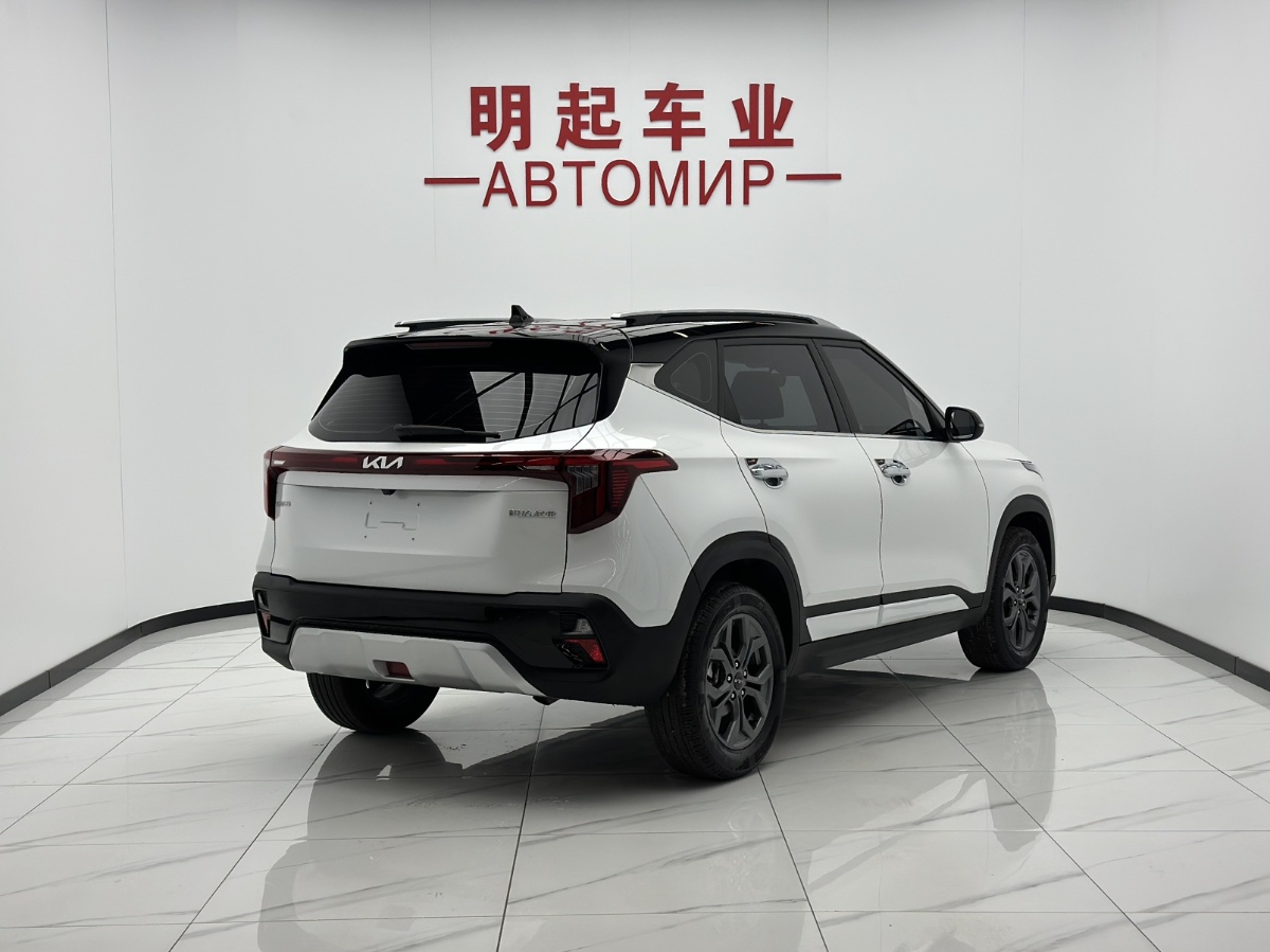 Kia Seltos 2024 car image #8
