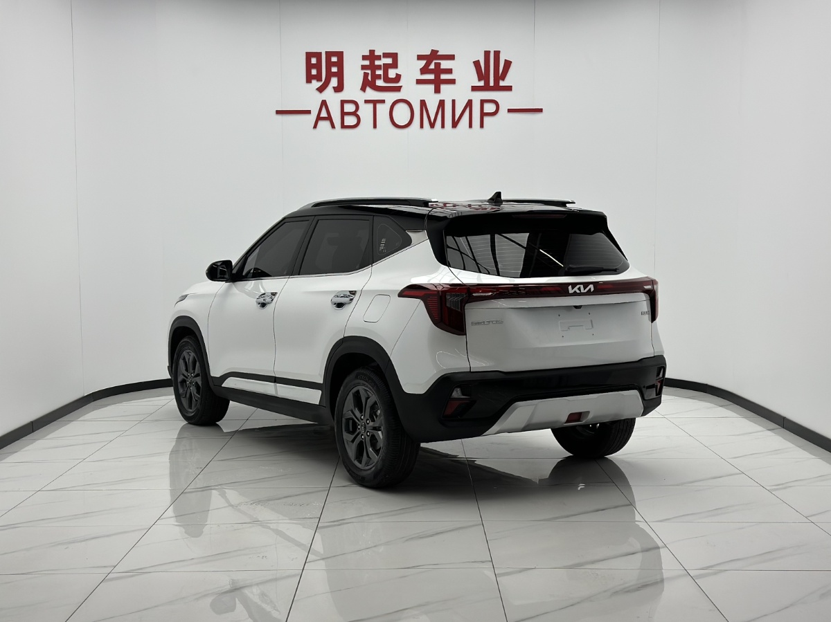 Kia Seltos 2024 car image #7