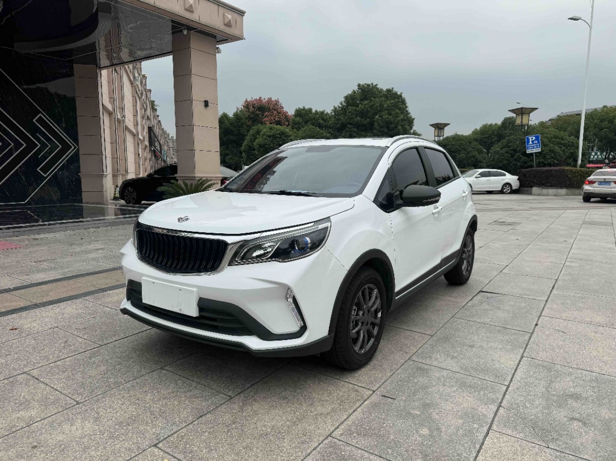 Livan X3 PRO 2023 image de voiture 