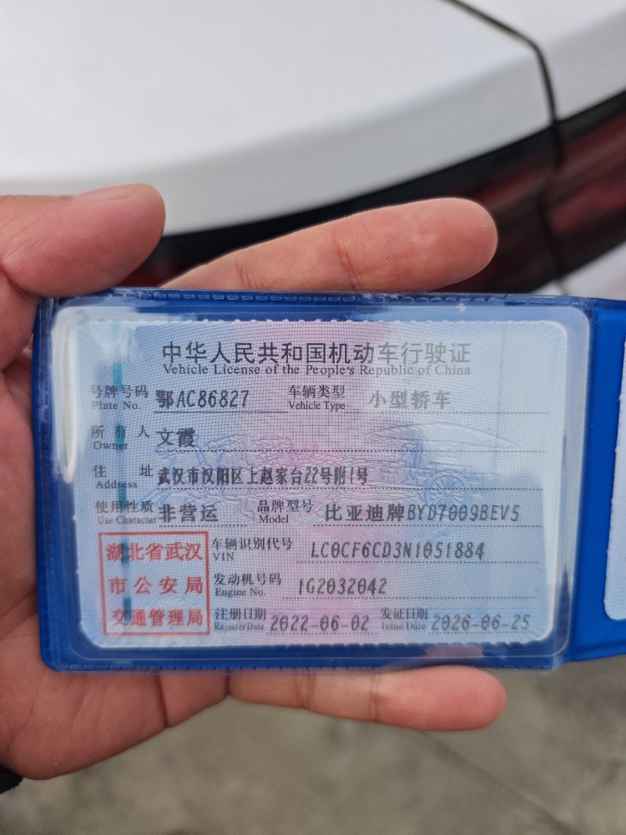 比亚迪 汉 2022 汽车图片 #6