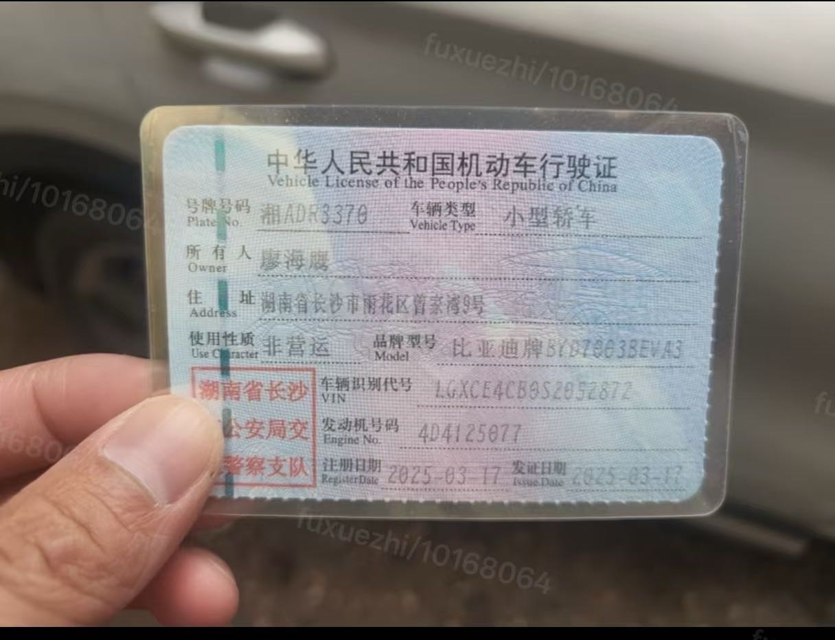 BYD Yuan Plus 2025 car image #9